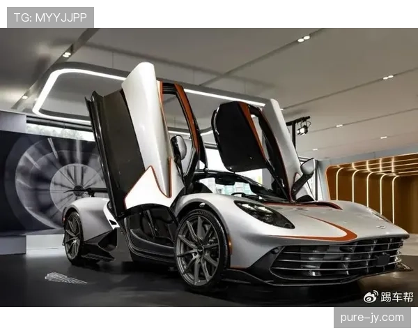 拉菲尼亚训练完顺手买了辆限量超跑，说是为了“放松心情”