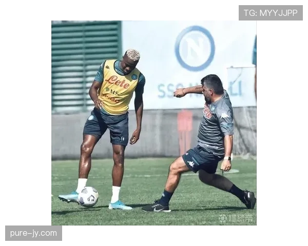 奥斯梅恩终结效率如何支撑其市场溢价？